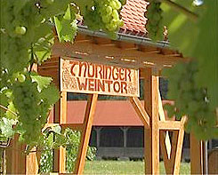  Thüringer Weintor